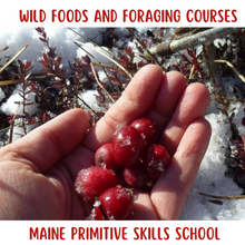 Load image into Gallery viewer, Foraging Courses: foods, medicinals and utilities 5 Day Full Course
