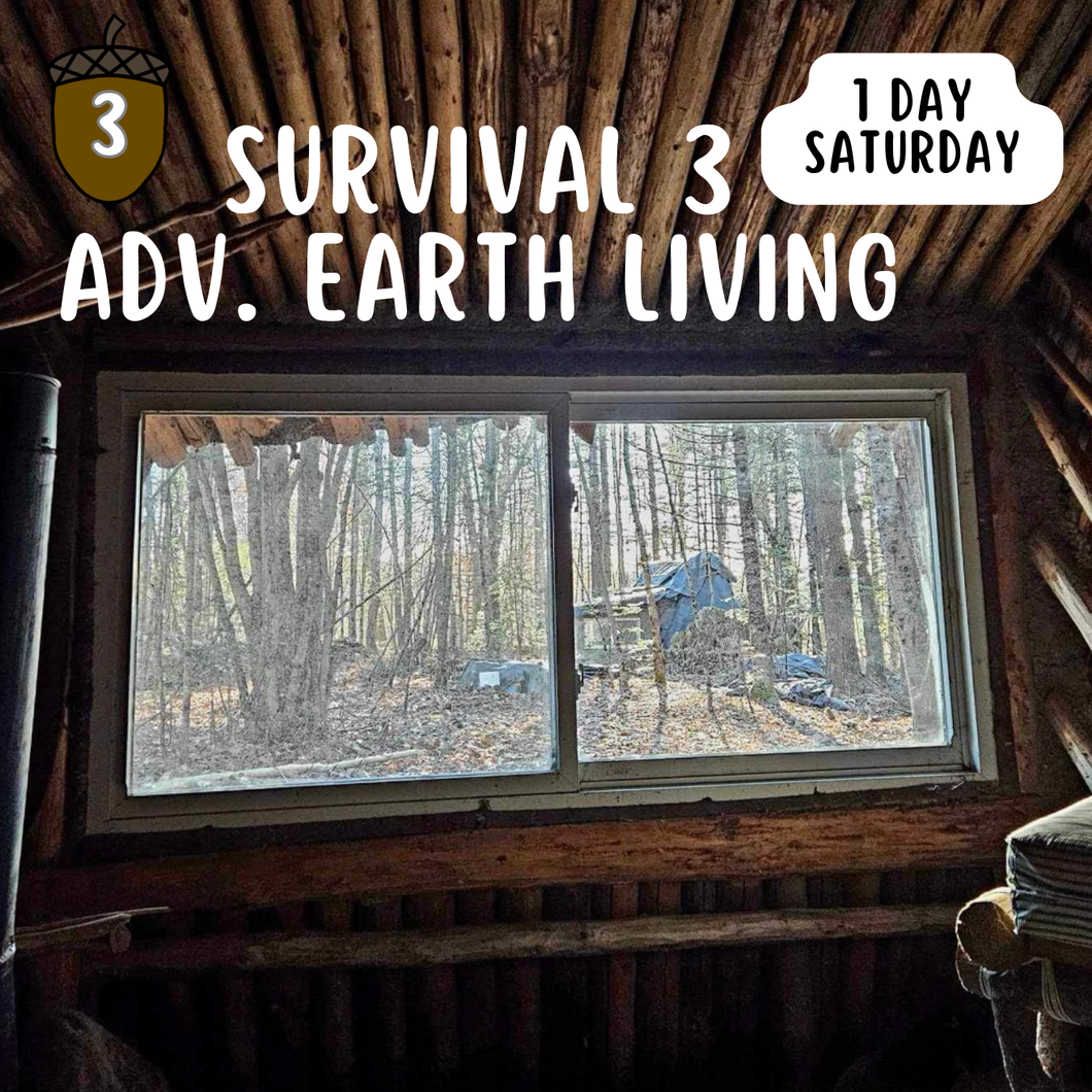 Survival 3: Advanced Earth Living 1 Day Saturday only