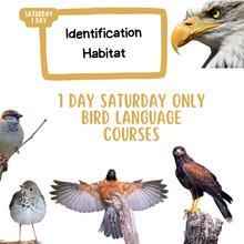 Load image into Gallery viewer, Bird Language: 1 day (saturday)
