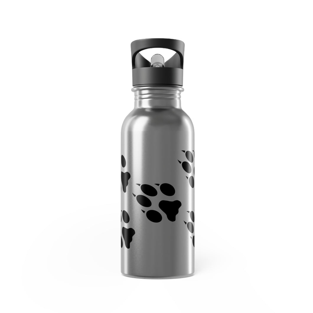 MPSS Tracking // Stainless Steel Water Bottle With Straw, 20oz
